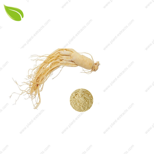 Ginseng Extract