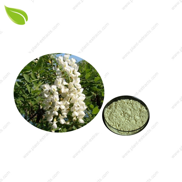 Sophora Japonica Extract