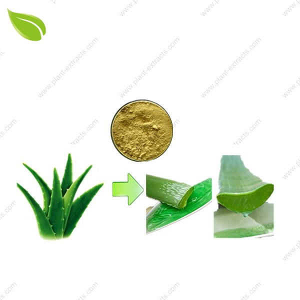 Aloe Vera Extract