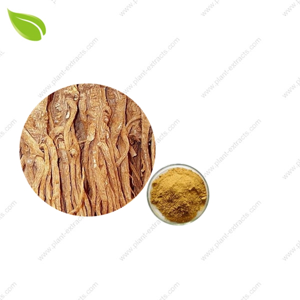 Cordyceps Extract