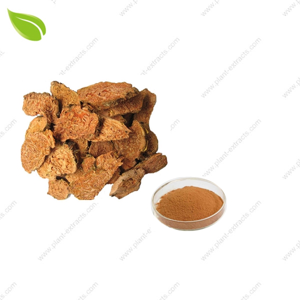 Rhodiola Rosea Extract