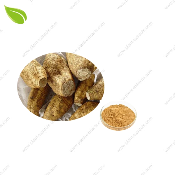 Kudzu Root Extract