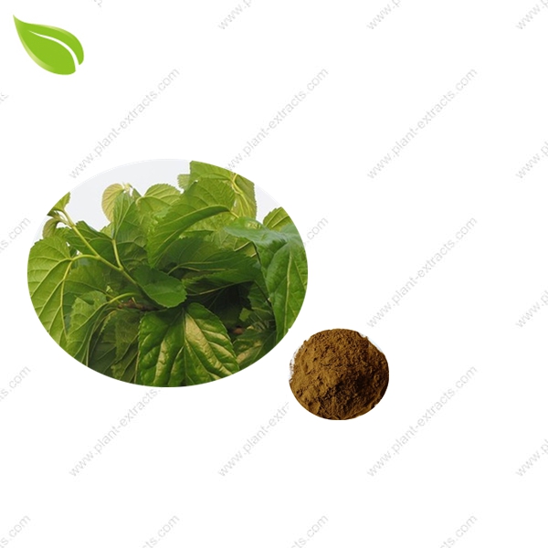 Mulberry Leaf Extract