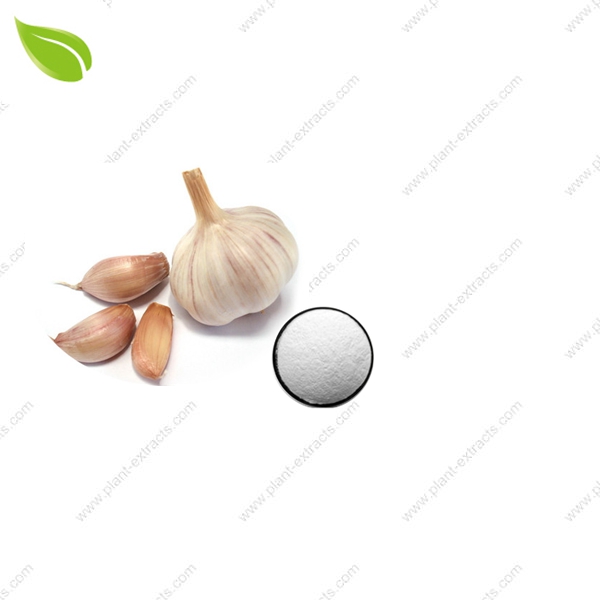 Garlic Extract