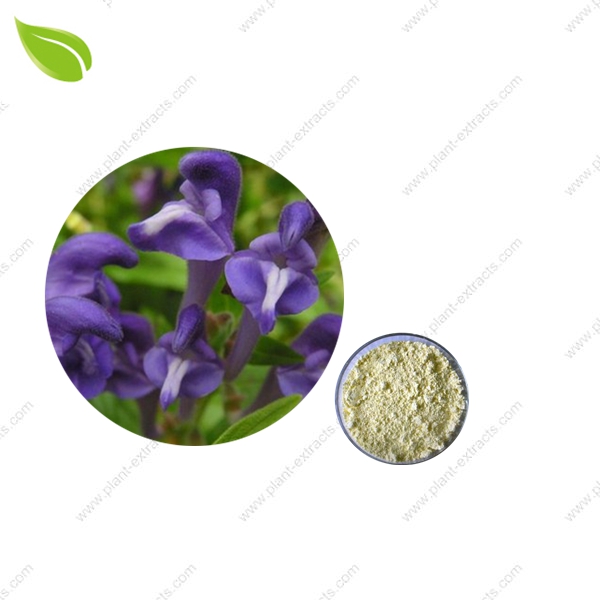 Scutellaria Baicalensis Extract