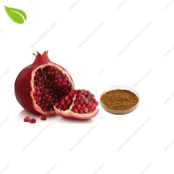 Pomegranate Extract