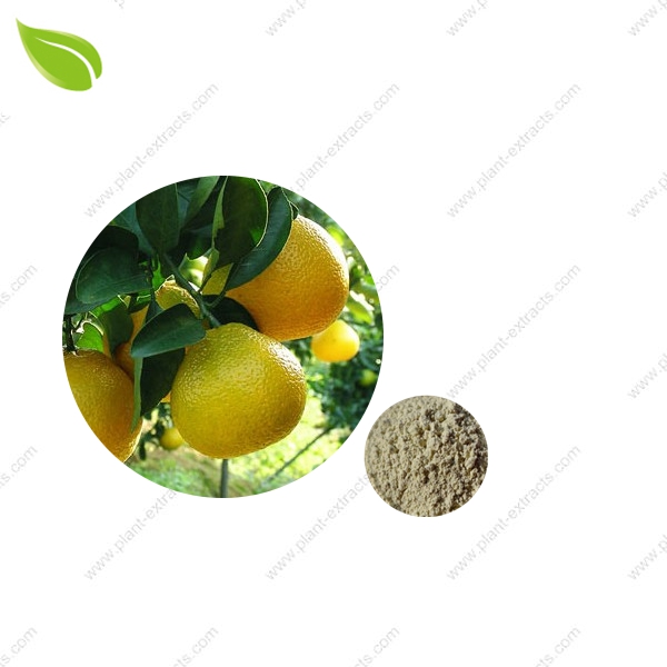 Shaddock Peels Extract