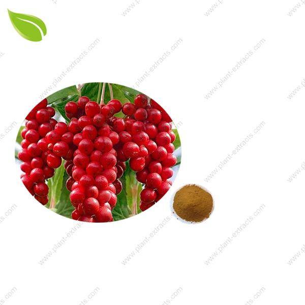 Schisandra Extract