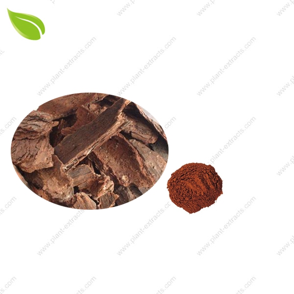 Pine Bark Extract