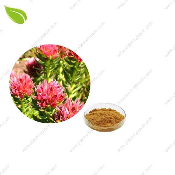 Rhodiola Rosea Root Extract