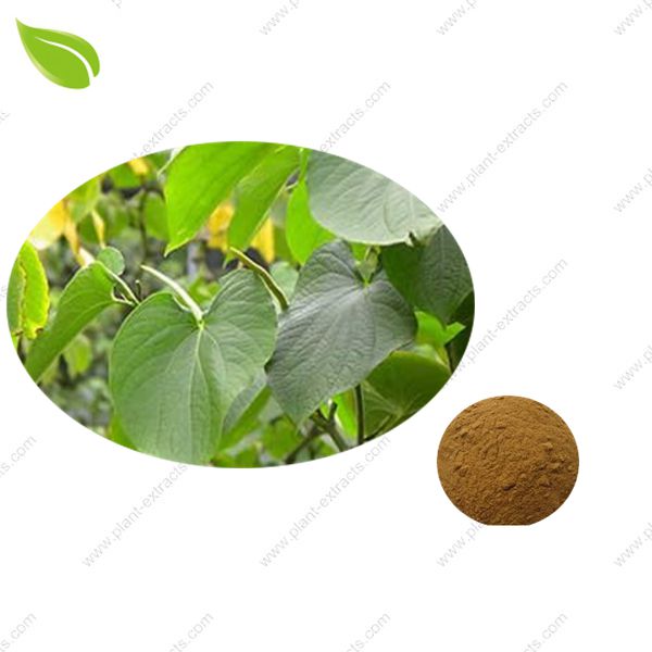 Kava Extract