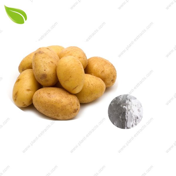 Dried Potato Powder