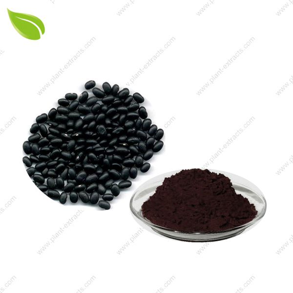 Black Bean Extract