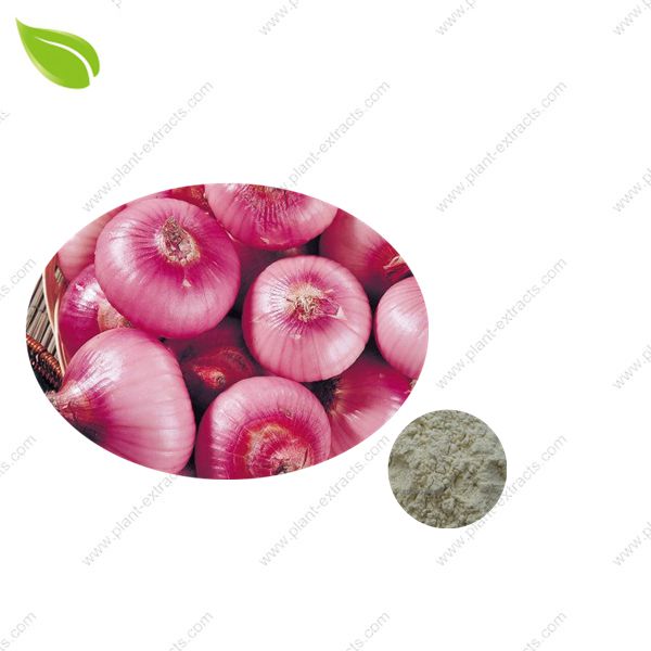 Onion Powder