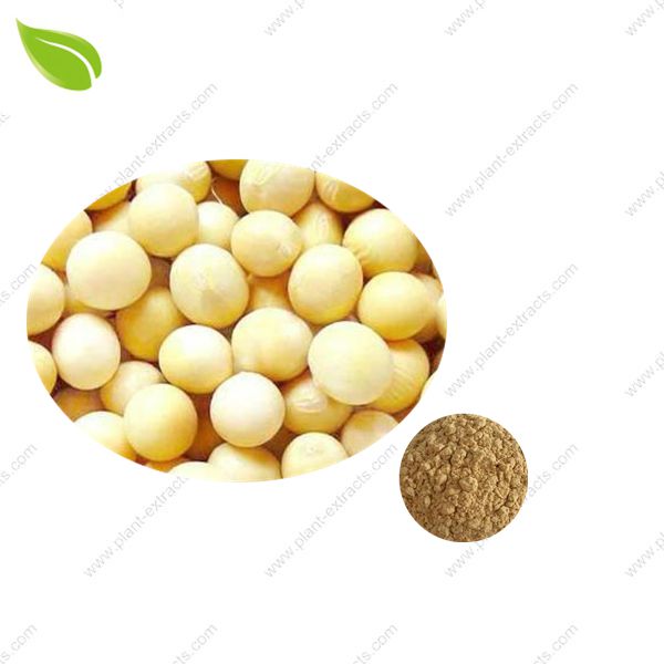 Soybean Extract