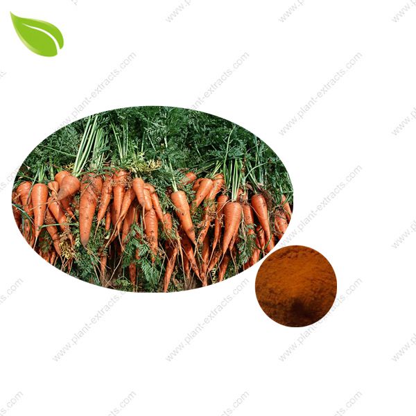 Carrot Powder