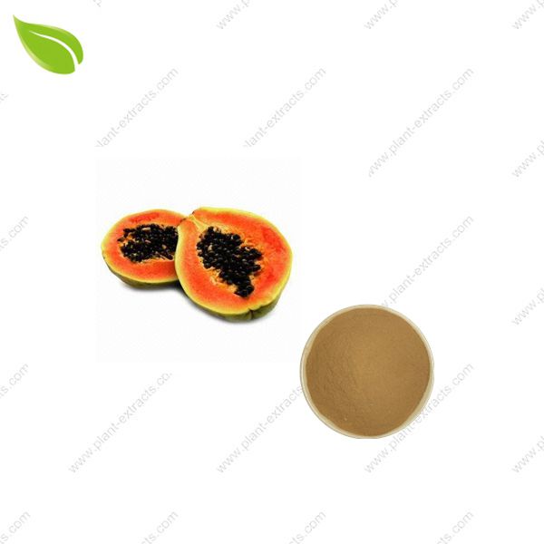 Papaya Juice Powder