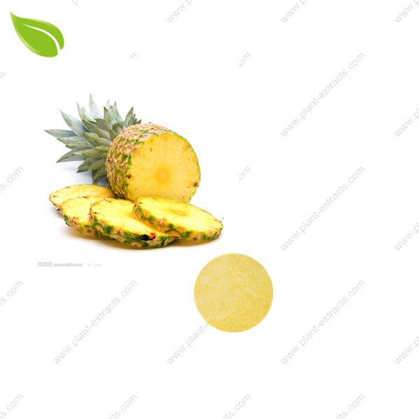 Pineapple Juice Powder