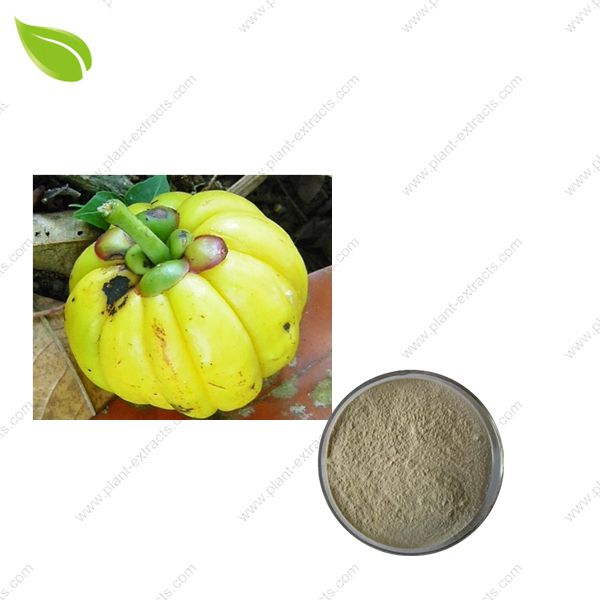 Garcinia Cambogia Extract