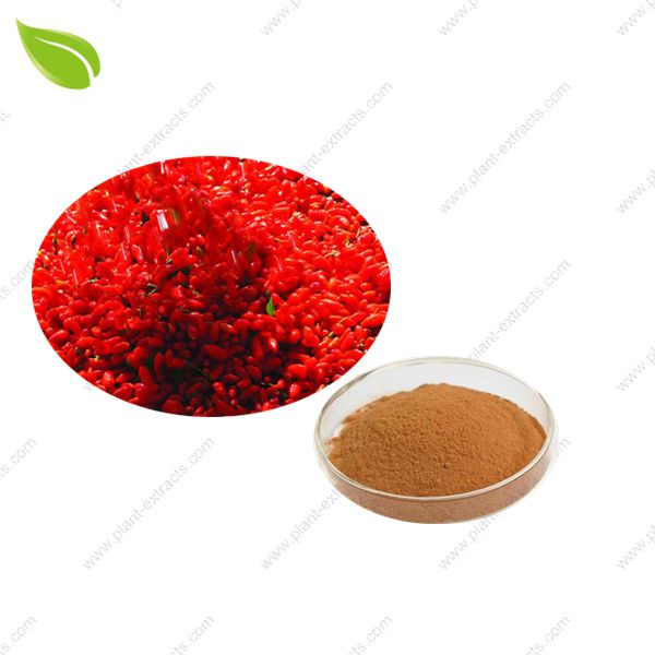 Wolfberry Extract