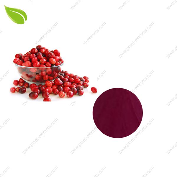 Cranberry Juice Powder