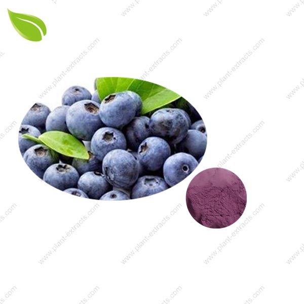 Acai Berry Extract