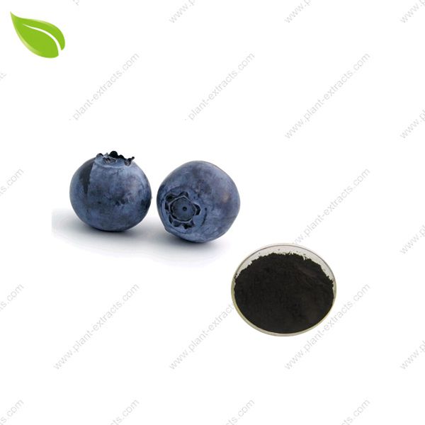 Blueberry Juice Powder