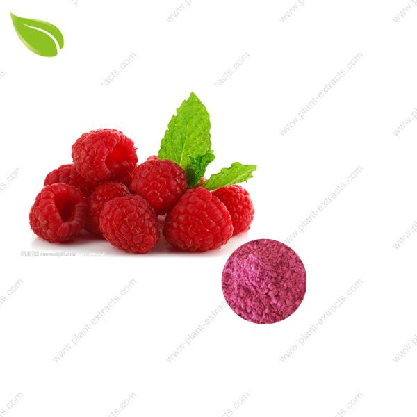 Raspberry Juice Powder