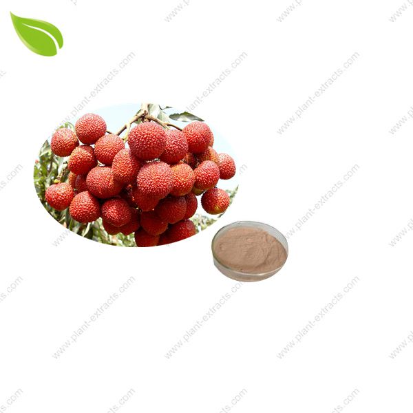 Lychee Juice Powder