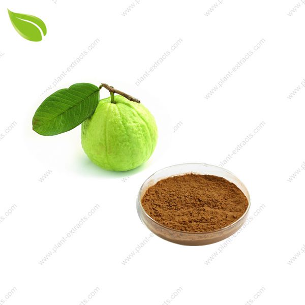 Guava Juice Powder