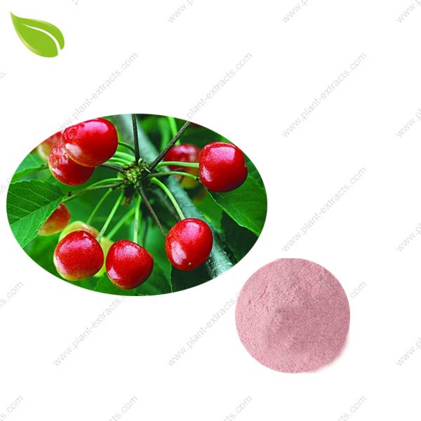 Cherry Juice Powder