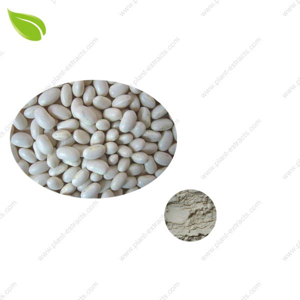 Kidney Bean Extract