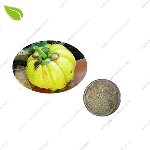 Garcinia Cambogia Extract