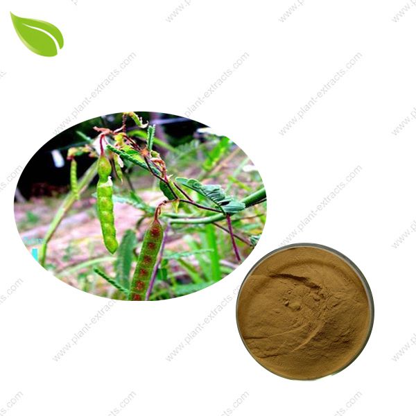 Cassia Nomame Extract