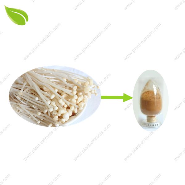 Needle Mushroom Powder