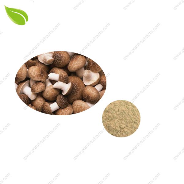 Shiitake Mushroom Powder