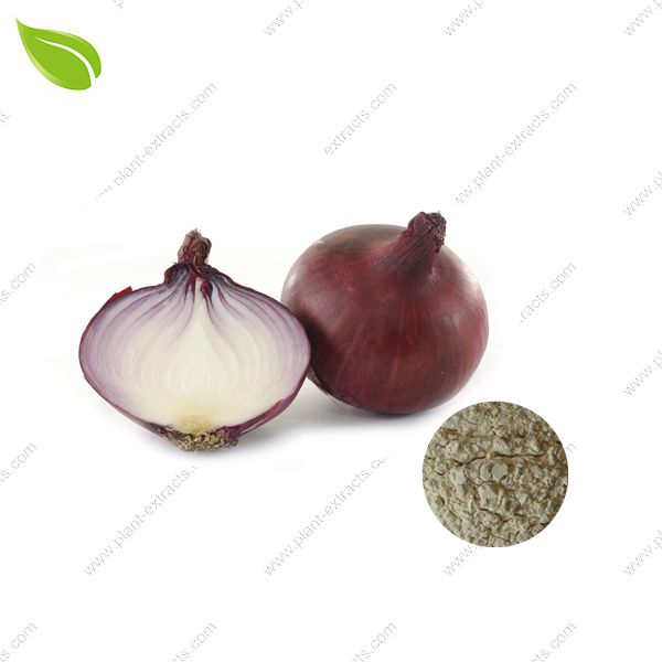 Dried Onion Powder