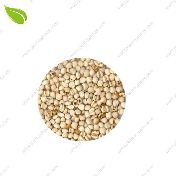 Coix Seed Extract