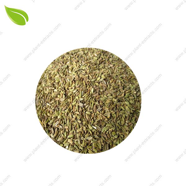 Fennel Extract