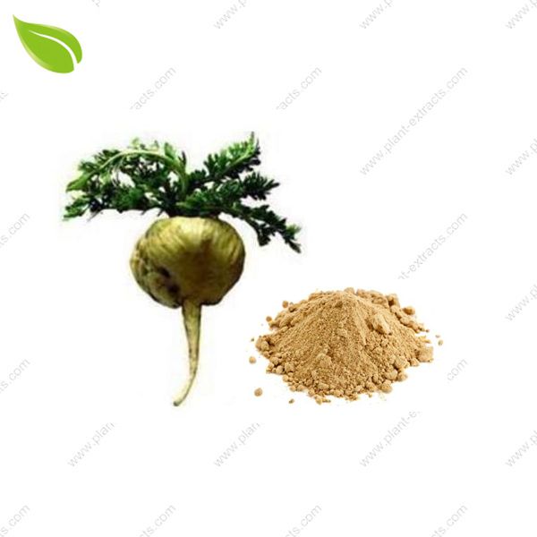 Maca Powder