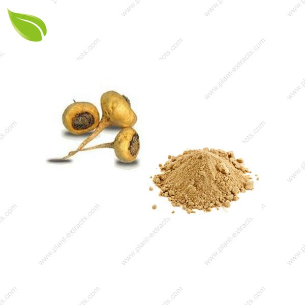 Maca Extract