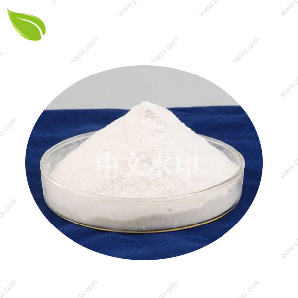 Chitosan Powder